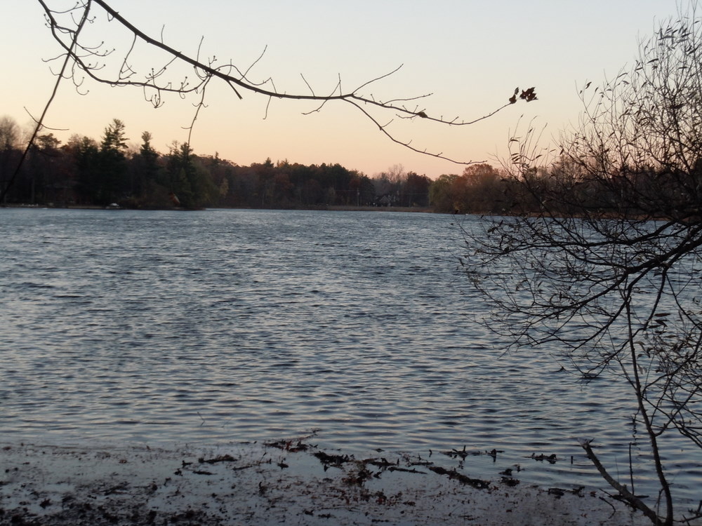 Elkhorn Lake Orion Twp MI